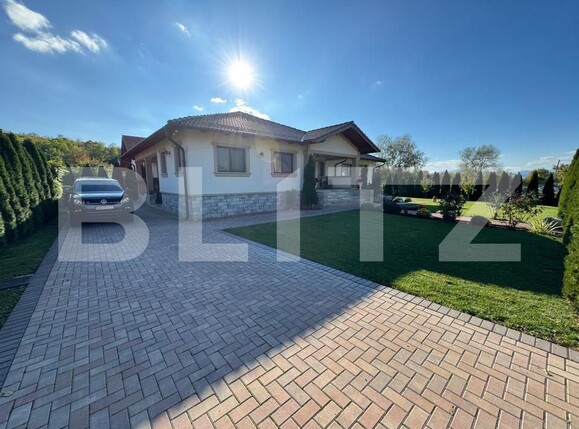 Casa de vânzare 4 camere Hapria - 180542CV | BLITZ Alba Iulia | Poza3