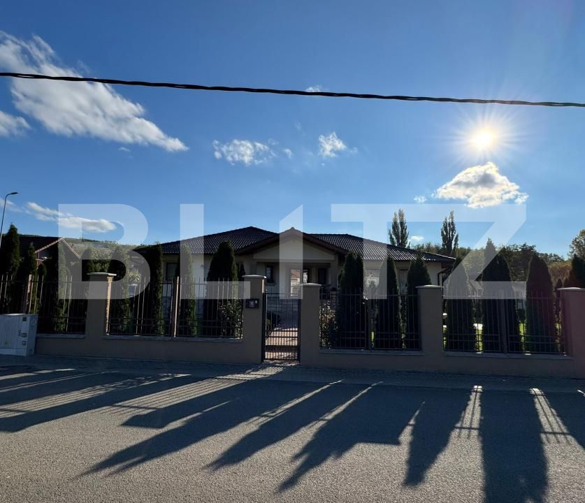 Casa de vânzare 4 camere Hapria - 180542CV | BLITZ Alba Iulia | Poza8