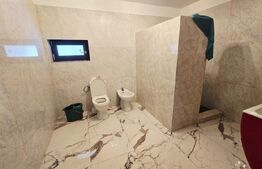 Casa individuala cu 4 camere,pretabila casa de vacanta sau pensiune,Pianu de Sus