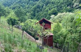 Casa de vacanta cu 4 camere, 1470 mp teren, Sugag