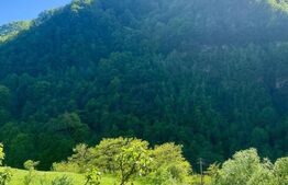 Casa de vacanta cu 4 camere, 1470 mp teren, Sugag