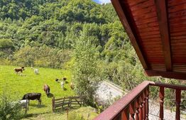 Casa de vacanta cu 4 camere, 1470 mp teren, Sugag