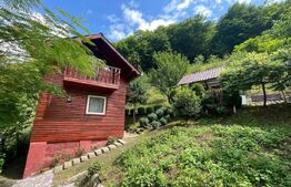 Casa de vacanta cu 4 camere, 1470 mp teren, Sugag