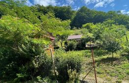 Casa de vacanta cu 4 camere, 1470 mp teren, Sugag