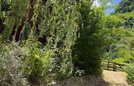 Casa de vacanta cu 4 camere, 1470 mp teren, Sugag