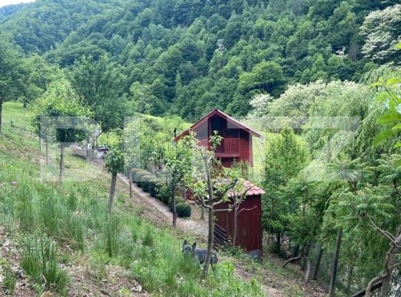 Casa de vânzare 3 camere Sugag - 180700CV | BLITZ Alba Iulia | Poza10