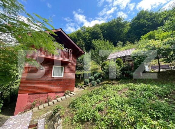 Casa de vânzare 3 camere Sugag - 180700CV | BLITZ Alba Iulia | Poza1