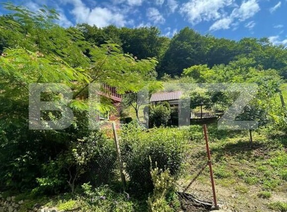 Casa de vânzare 3 camere Sugag - 180700CV | BLITZ Alba Iulia | Poza8