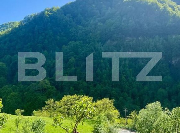 Casa de vânzare 3 camere Sugag - 180700CV | BLITZ Alba Iulia | Poza9