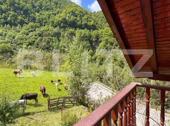 Casa de vânzare 3 camere Sugag - 180700CV | BLITZ Alba Iulia | Poza4