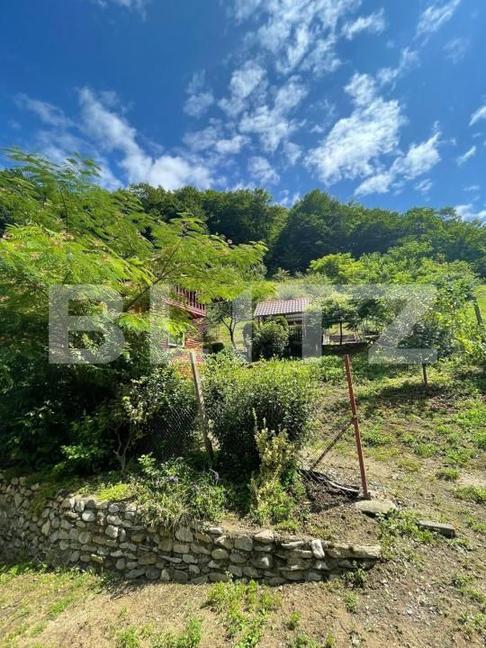 Casa de vânzare 3 camere Sugag - 180700CV | BLITZ Alba Iulia | Poza8