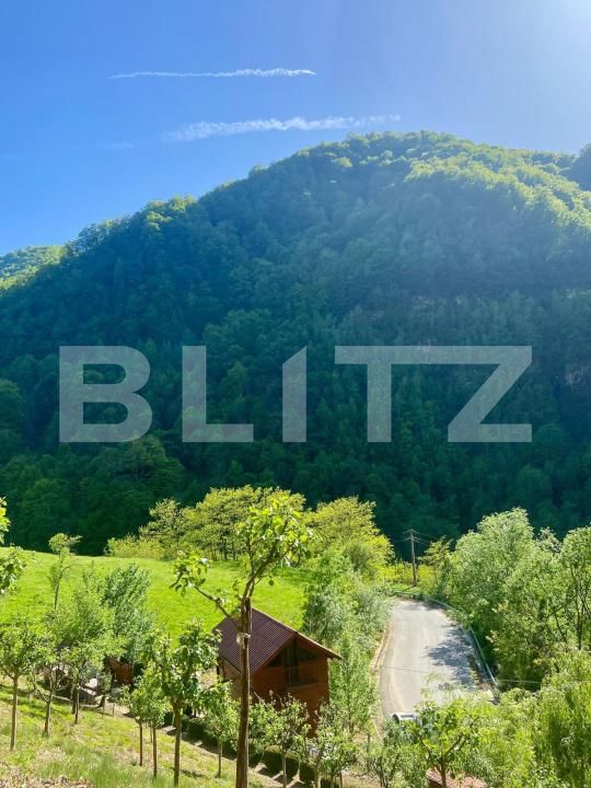Casa de vânzare 3 camere Sugag - 180700CV | BLITZ Alba Iulia | Poza9