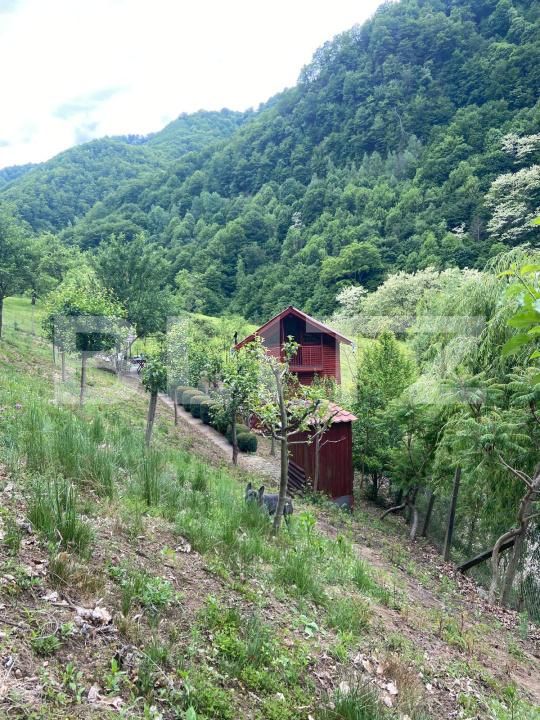 Casa de vânzare 3 camere Sugag - 180700CV | BLITZ Alba Iulia | Poza10