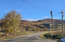 Complex turistic de 5 cabane,3100 mp teren,Transalpina Super pret!!