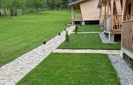 Complex turistic de 5 cabane,3100 mp teren,Transalpina Super pret!!