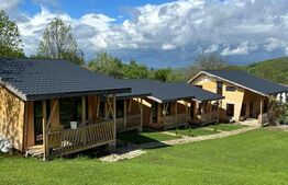 Complex turistic de 5 cabane,3100 mp teren,Transalpina Super pret!!