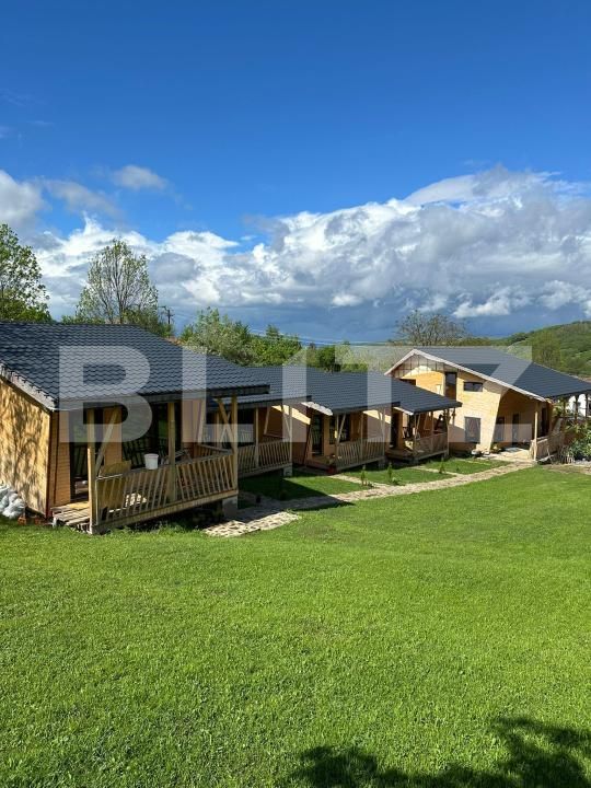 Spațiu comercial de vânzare Pianu de Sus - 181113SVC | BLITZ Alba Iulia | Poza3