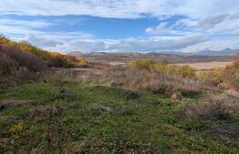 Teren de vânzare Vinţu de Jos - 192052TV | BLITZ Alba Iulia | Poza2