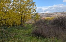 Teren pretabil pentru cabana