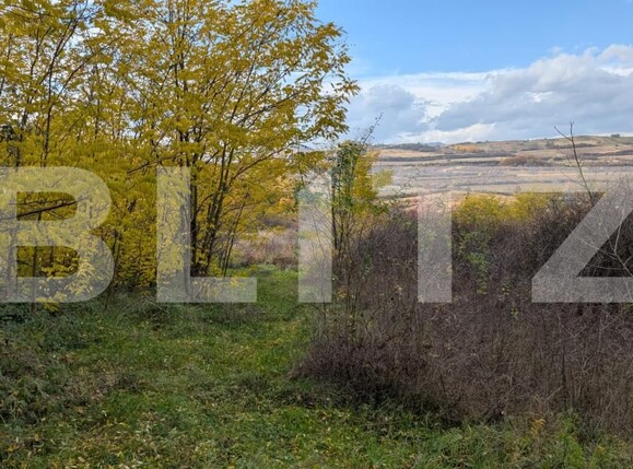 Teren de vânzare Sard - 181300TV | BLITZ Alba Iulia | Poza2