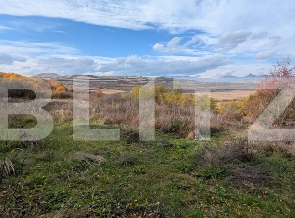 Teren de vânzare Sard - 181300TV | BLITZ Alba Iulia | Poza3