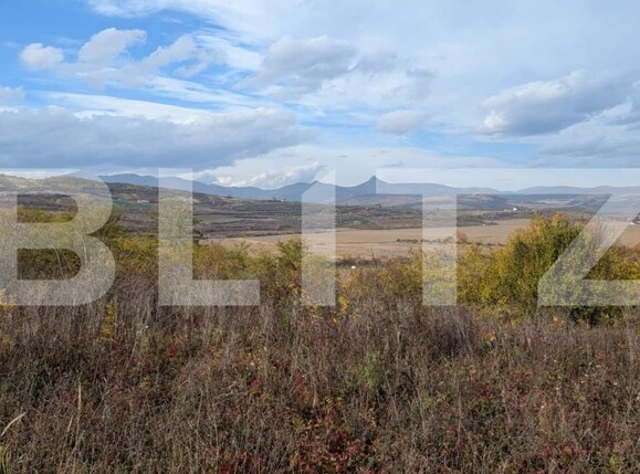 Teren de vânzare Sard - 181300TV | BLITZ Alba Iulia | Poza4