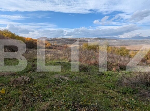 Teren de vânzare Sard - 181300TV | BLITZ Alba Iulia | Poza1