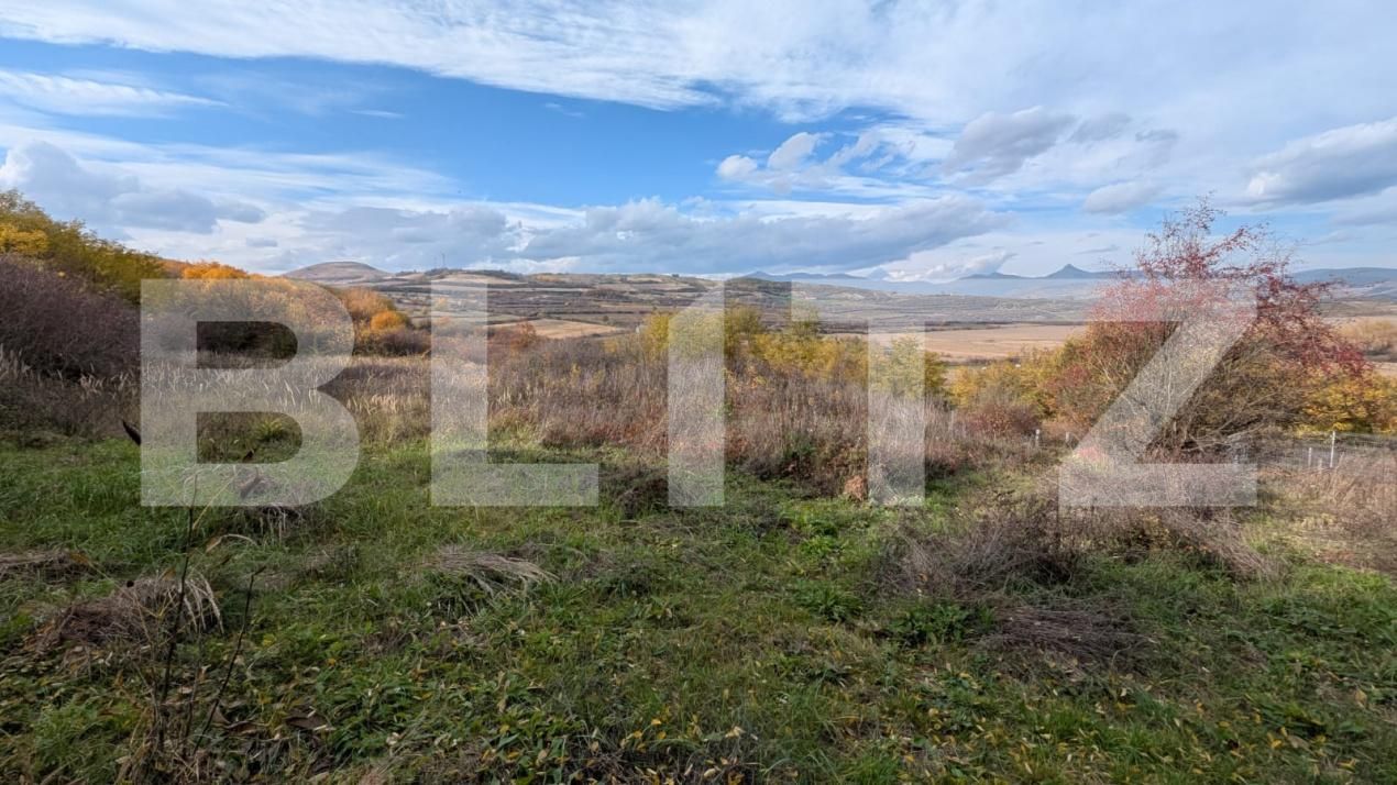 Teren de vânzare Sard - 181300TV | BLITZ Alba Iulia | Poza3