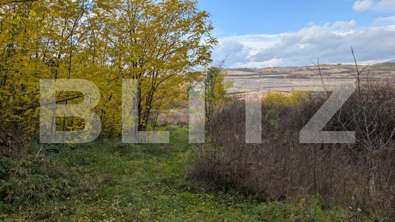 Teren de vânzare Sard - 181300TV | BLITZ Alba Iulia | Poza3