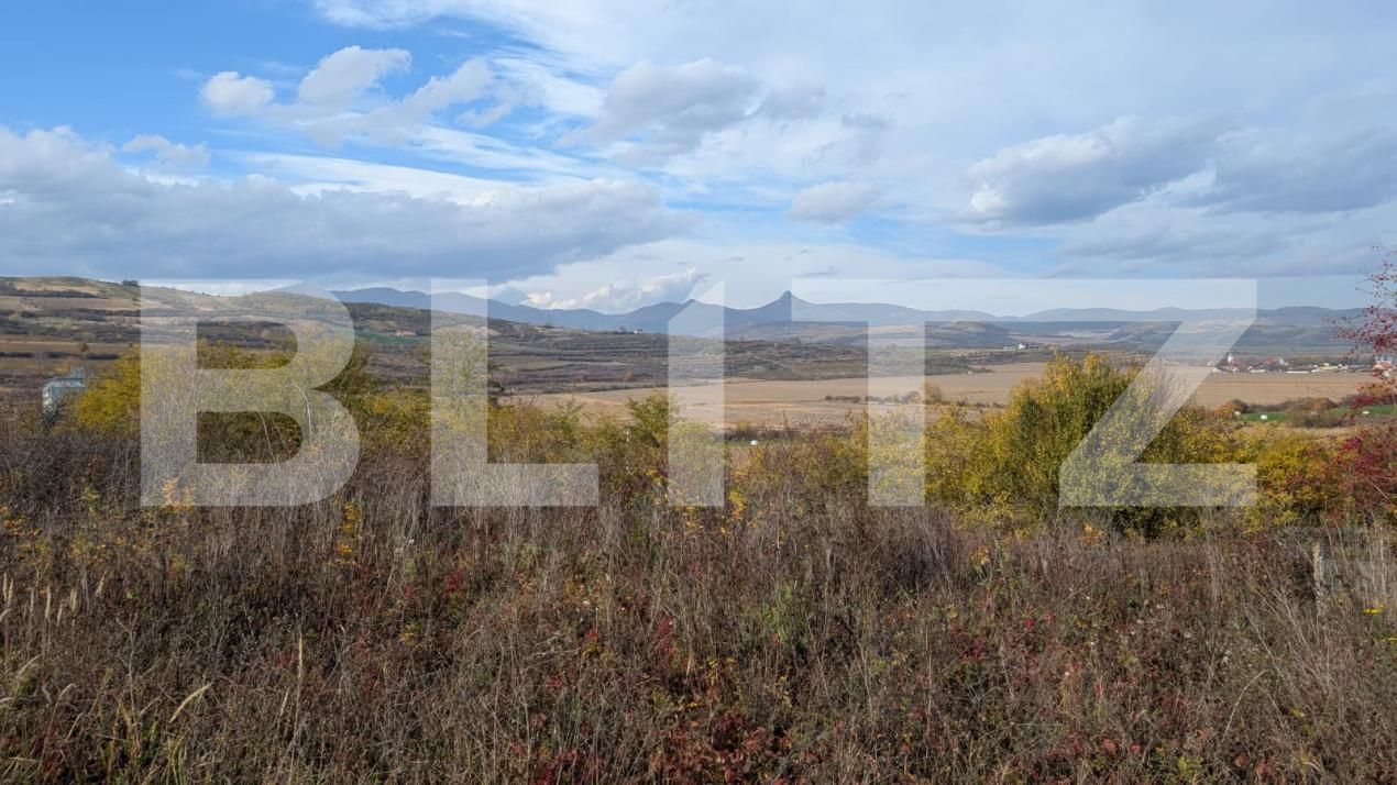 Teren de vânzare Sard - 181300TV | BLITZ Alba Iulia | Poza4