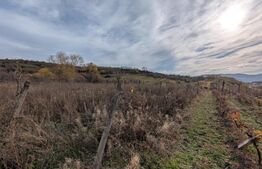 Teren pretabil pentru cabana, cu view