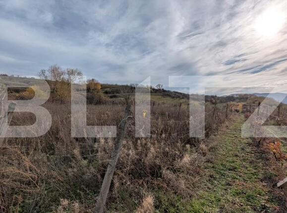 Teren de vânzare Sard - 181301TV | BLITZ Alba Iulia | Poza2