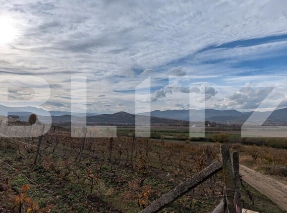 Teren de vânzare Sard - 181301TV | BLITZ Alba Iulia | Poza1