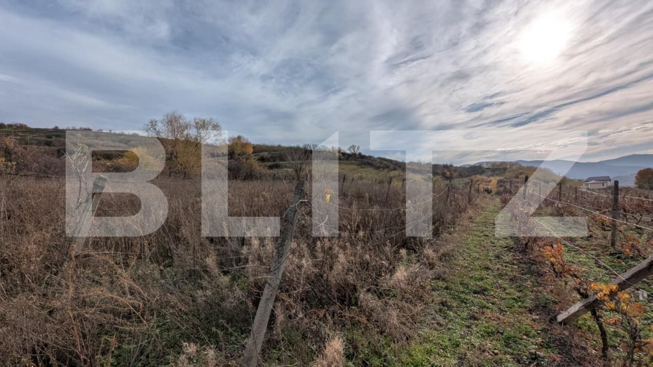 Teren de vânzare Sard - 181301TV | BLITZ Alba Iulia | Poza2