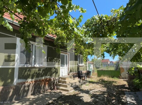 Casa de vânzare 2 camere Sebeș - 181374CV | BLITZ Alba Iulia | Poza1