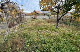 Casă săsească, 3 camere, 700 mp teren, Sebeș