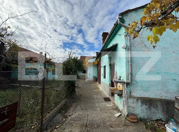 Casa de vânzare 3 camere Sebeș - 181381CV | BLITZ Alba Iulia | Poza1