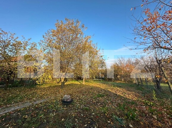 Casa de închiriat 3 camere Central - 181533CI | BLITZ Alba Iulia | Poza2