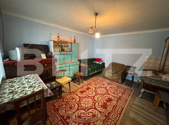 Casa de vânzare 7 camere Sebeș - 181748CV | BLITZ Alba Iulia | Poza3