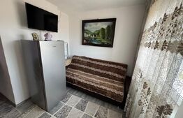 Apartament elegant cu 1 cameră . Complet mobilat, Aiud