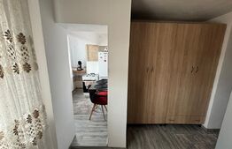 Apartament elegant cu 1 cameră . Complet mobilat, Aiud