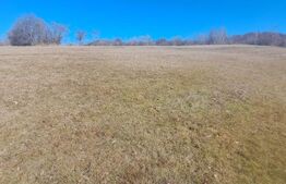 Teren intravilan, perfect pentru casa de vacanta, 5000 mp, Almasu Mare