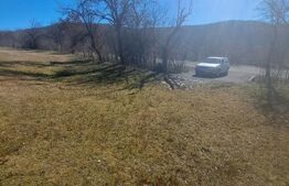 Teren intravilan, perfect pentru casa de vacanta, 5000 mp, Almasu Mare