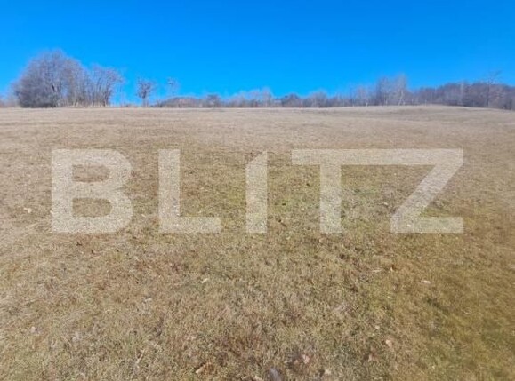 Teren de vânzare Almasu Mare - 181763TV | BLITZ Alba Iulia | Poza1