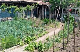 Casa cu 4 camere, 140 mp, teren 450 mp, oras Blaj