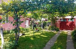 Casa cu 4 camere, 140 mp, Central,  Blaj