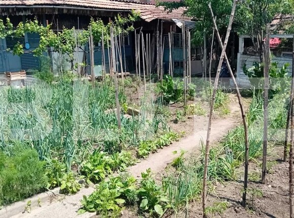 Casa de vânzare 4 camere Blaj - 182124CV | BLITZ Alba Iulia | Poza4