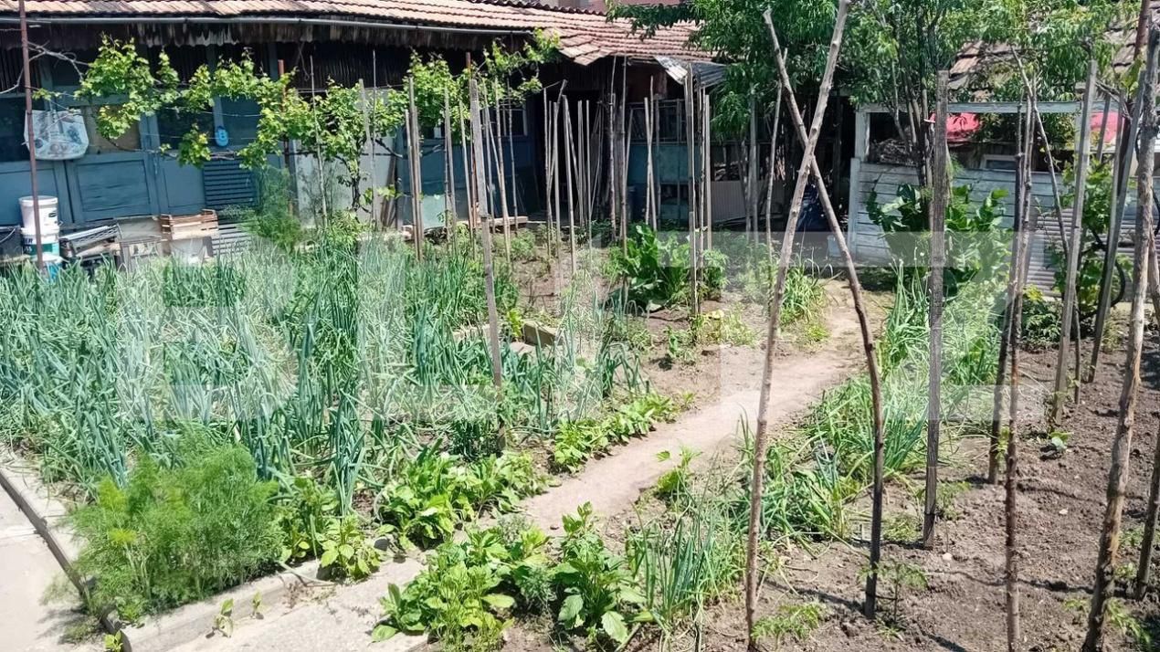 Casa de vânzare 4 camere Blaj - 182124CV | BLITZ Alba Iulia | Poza4