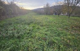 Teren intravilan,561 mp,Petresti