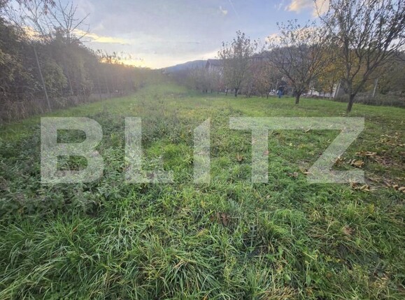 Teren de vânzare Sebeș - 182423TV | BLITZ Alba Iulia | Poza1